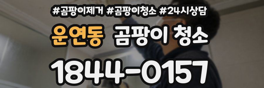 운연동 곰팡이 청소