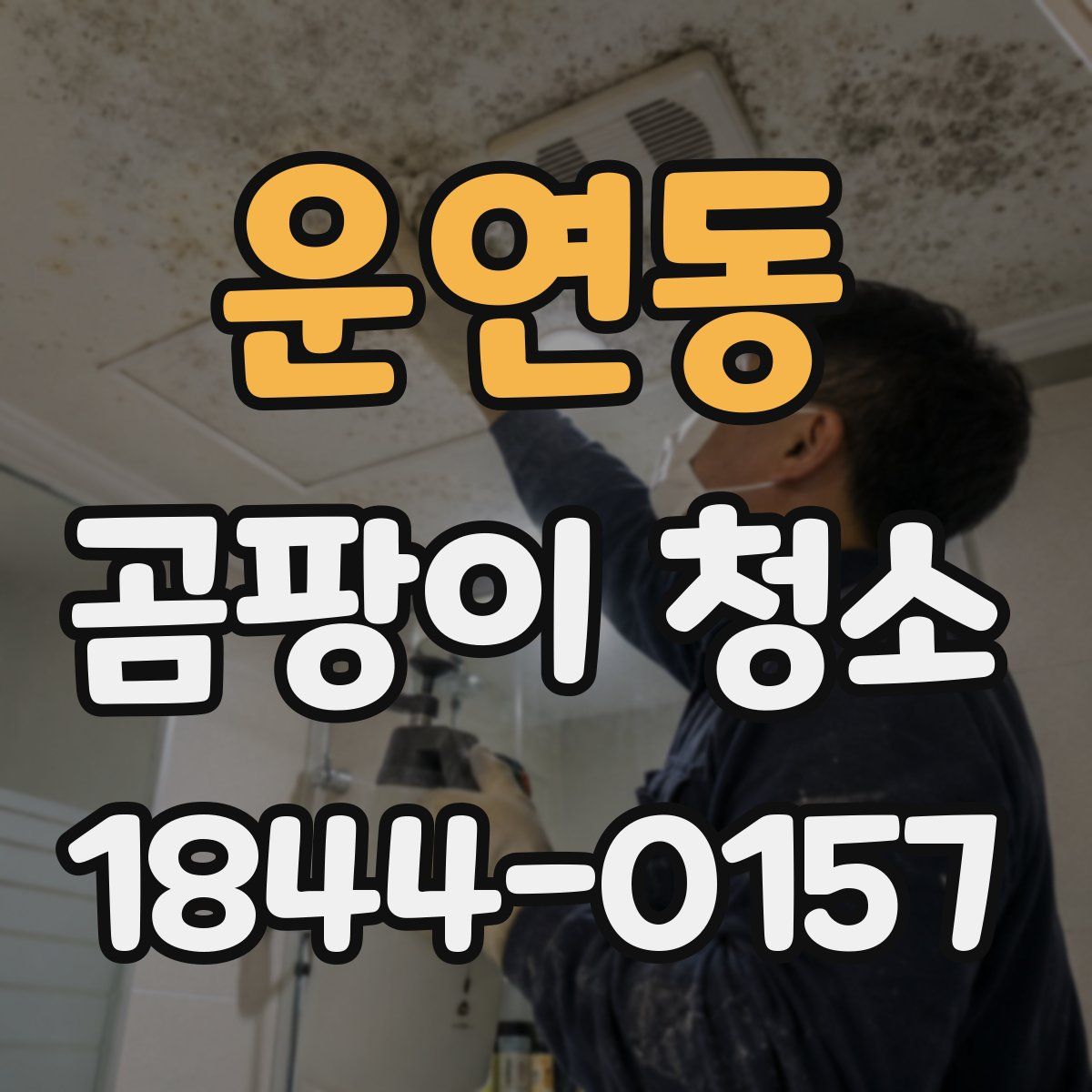 운연동 곰팡이 청소