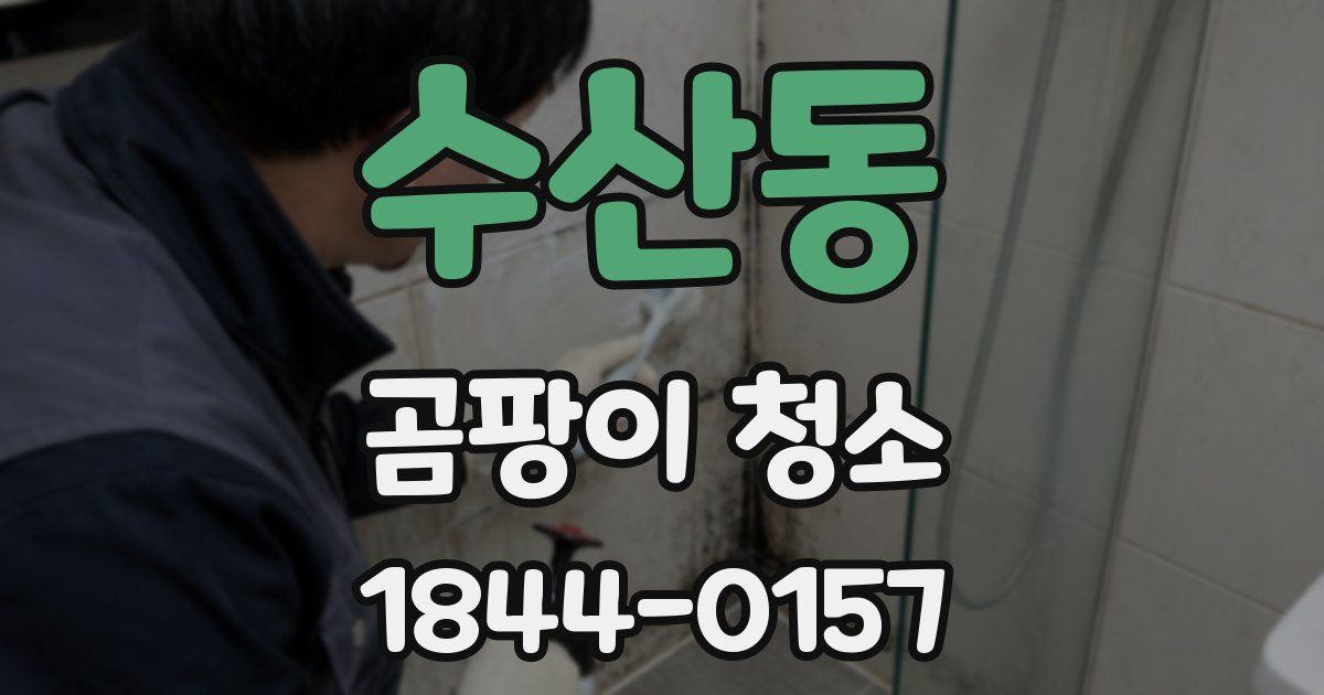 수산동 곰팡이 청소