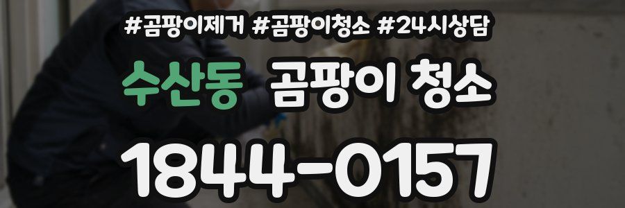 수산동 곰팡이 청소
