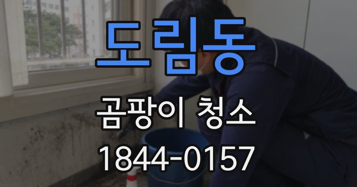 도림동 곰팡이 청소