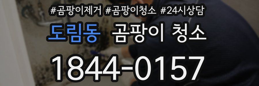 도림동 곰팡이 청소