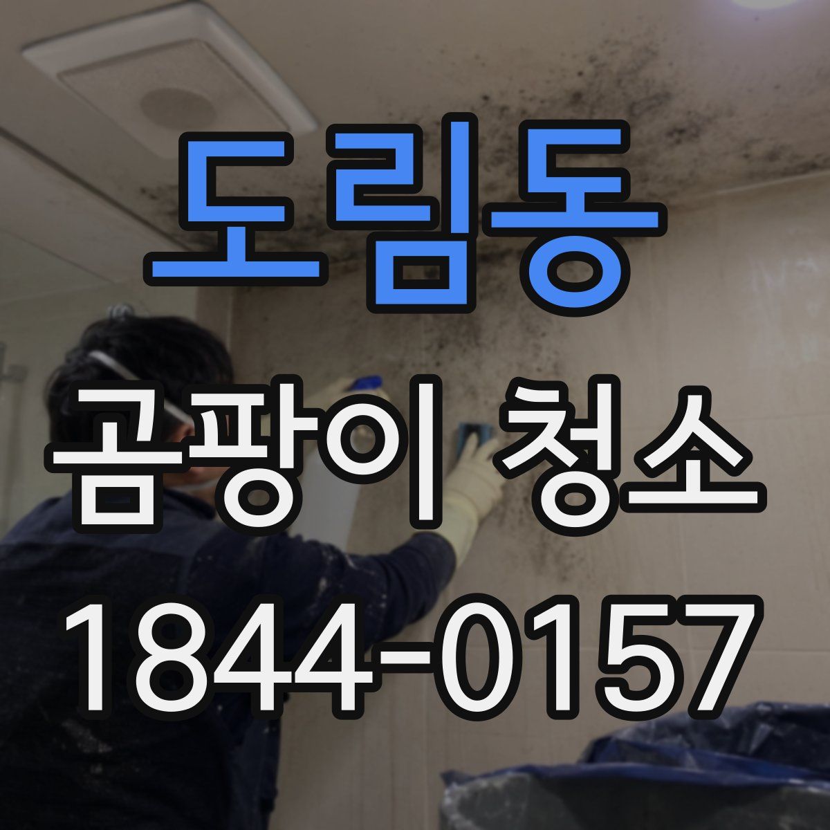 도림동 곰팡이 청소