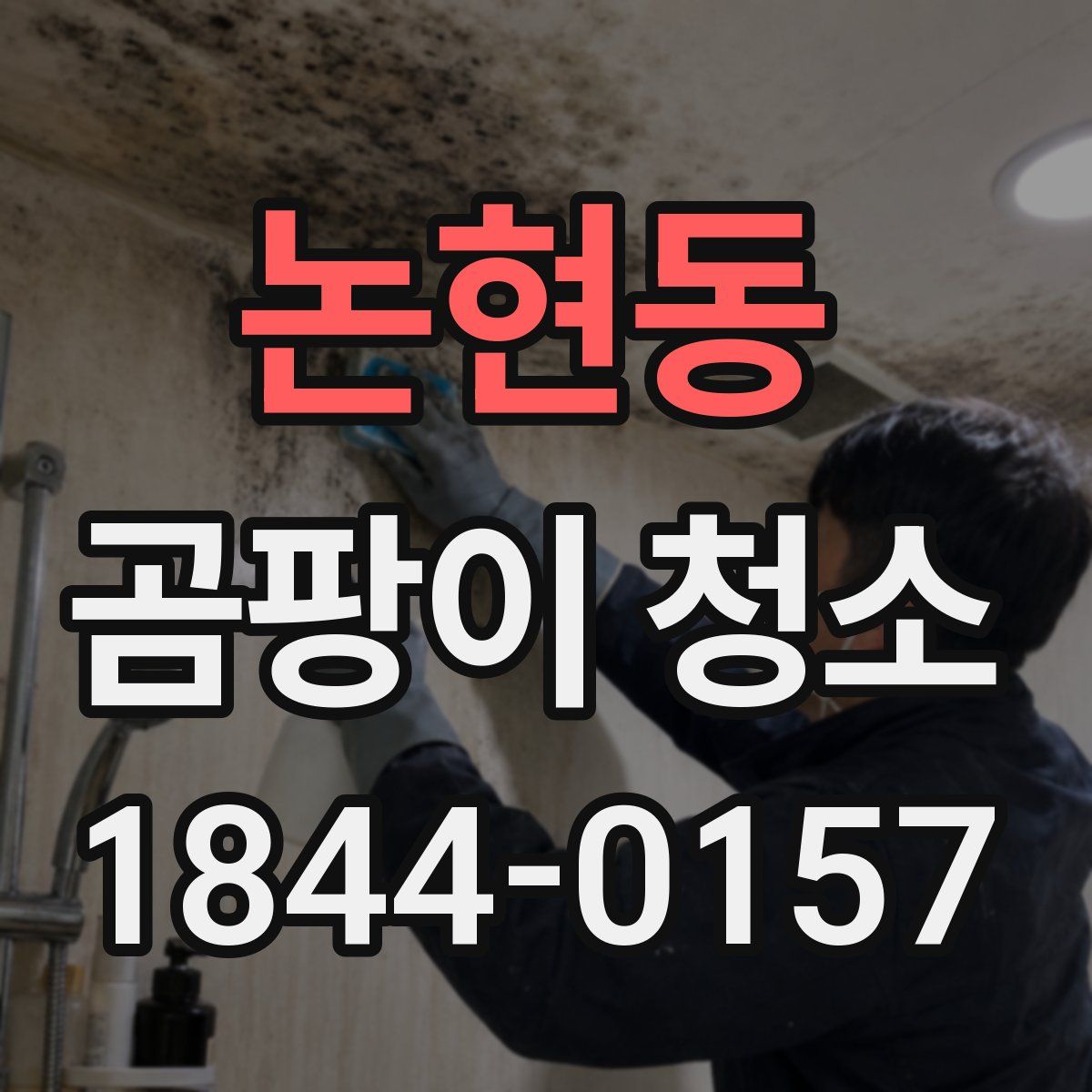 논현동 곰팡이 청소