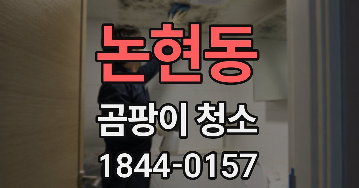 논현동 곰팡이 청소