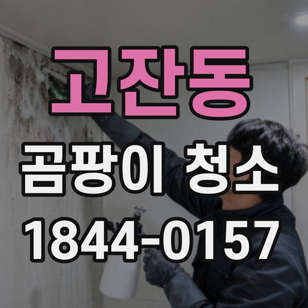 고잔동 곰팡이 청소