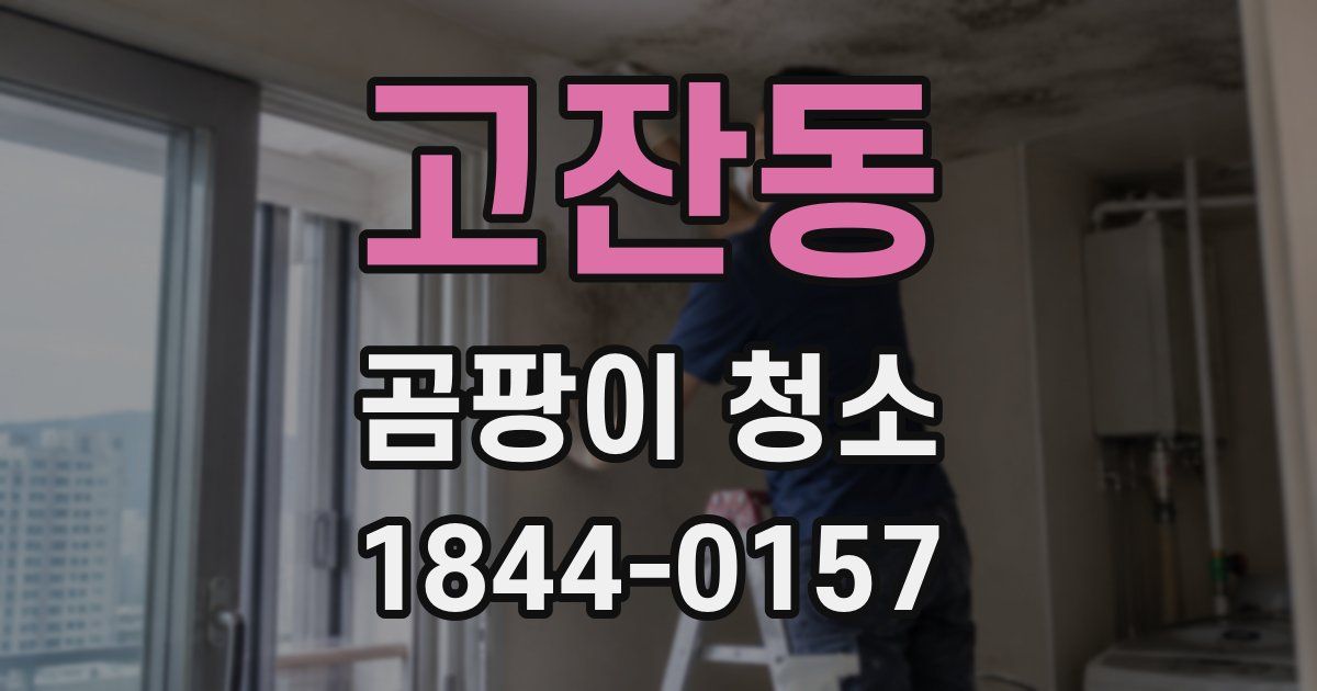 고잔동 곰팡이 청소