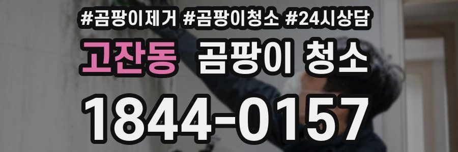 고잔동 곰팡이 청소