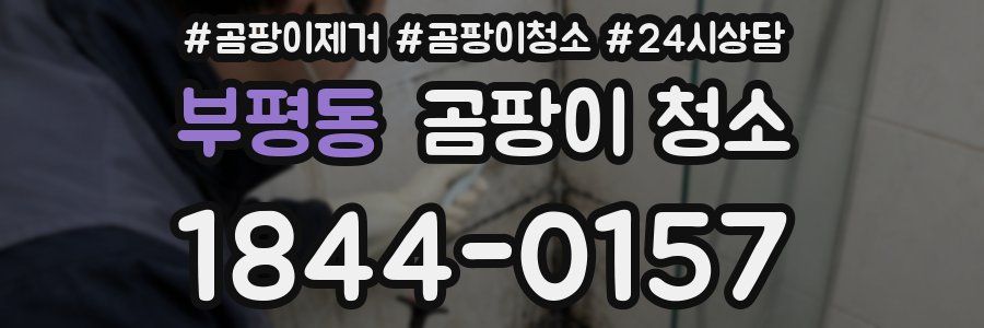 부평동 곰팡이 청소