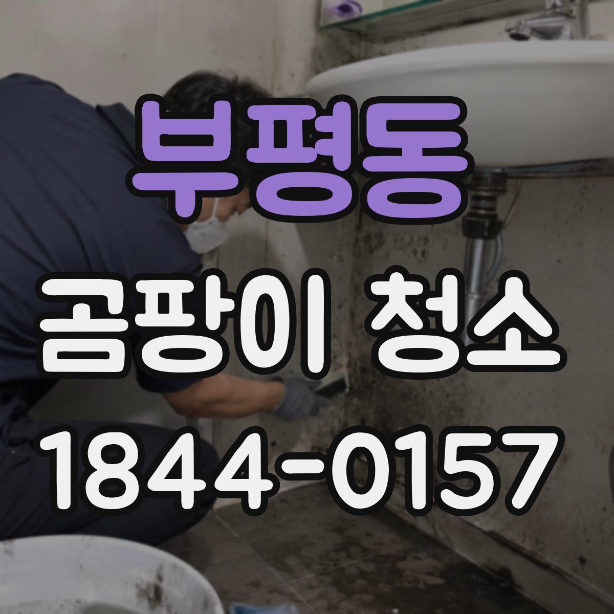 부평동 곰팡이 청소