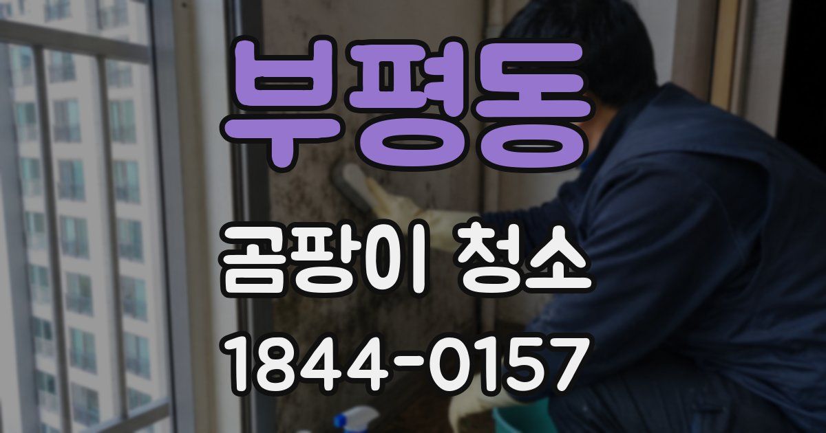 부평동 곰팡이 청소