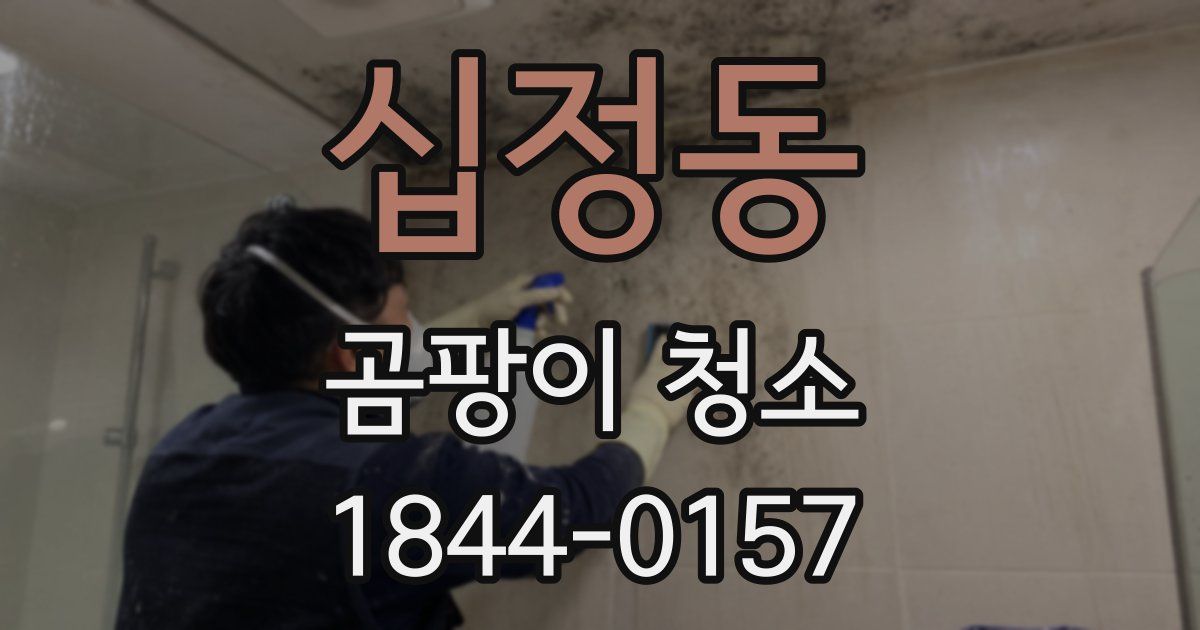 십정동 곰팡이 청소