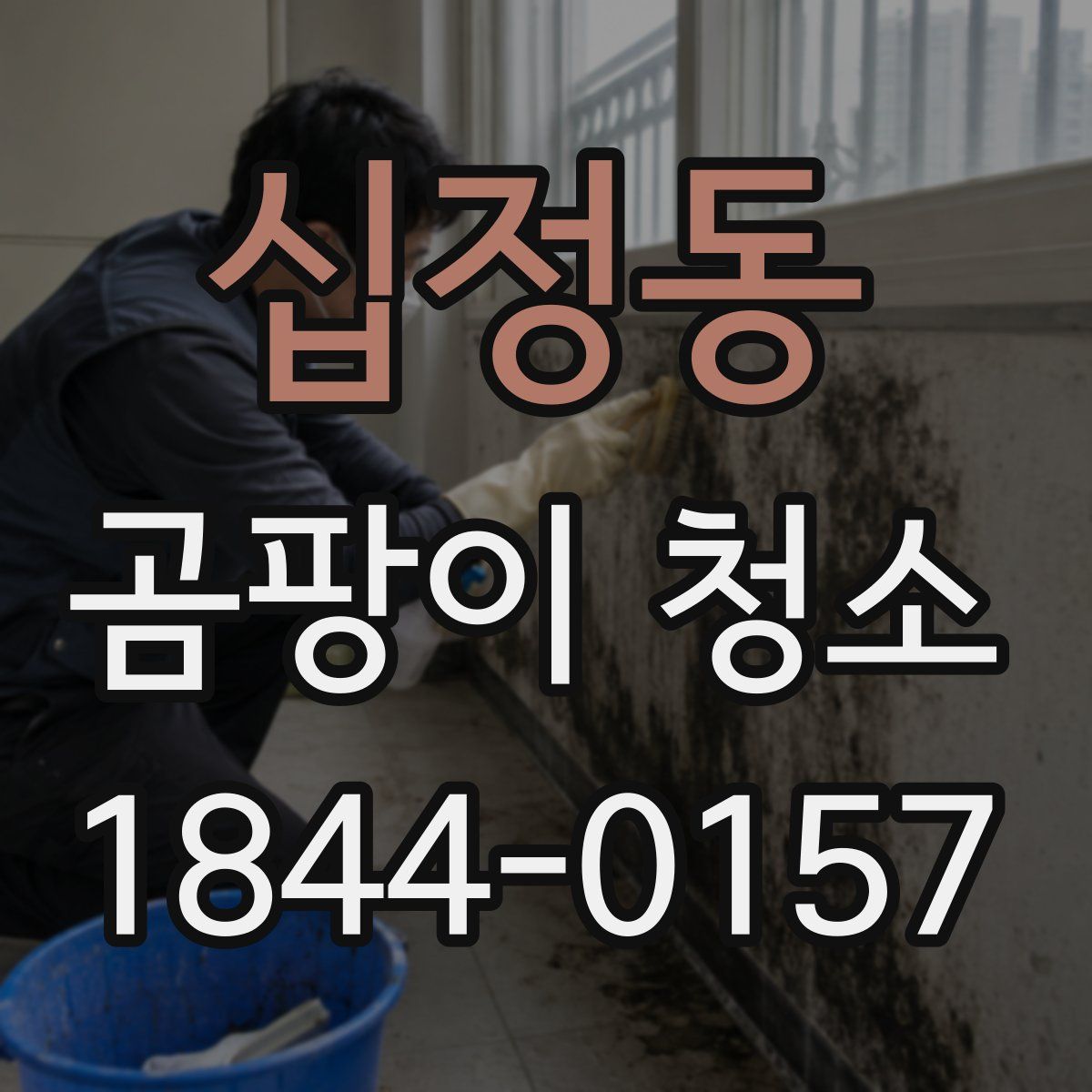 십정동 곰팡이 청소