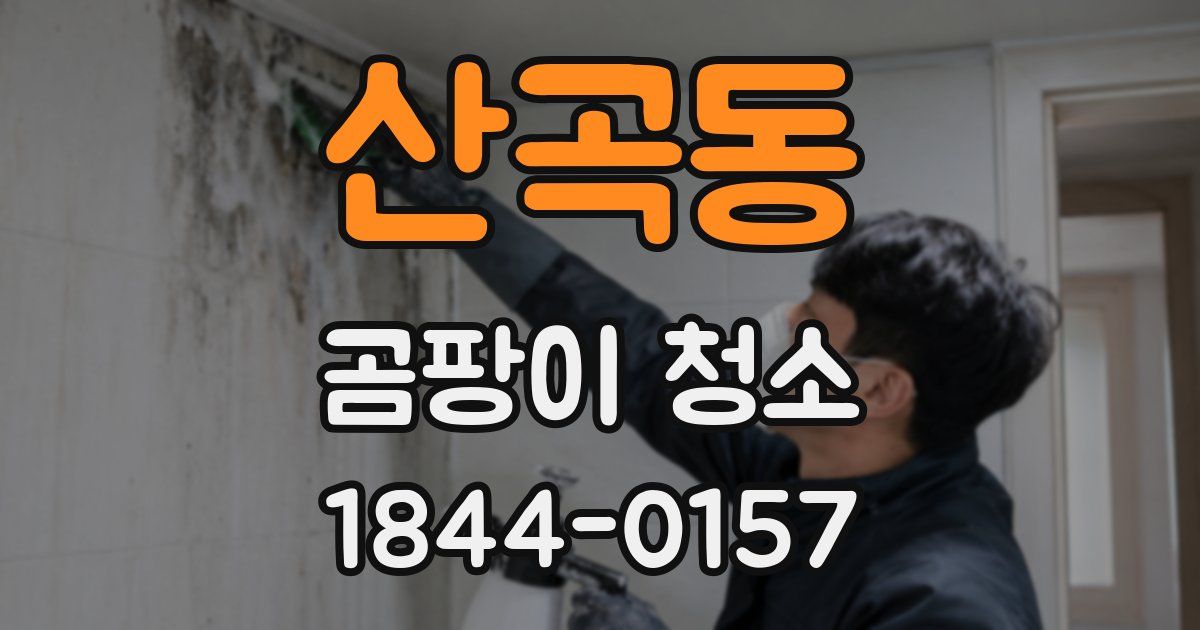 산곡동 곰팡이 청소