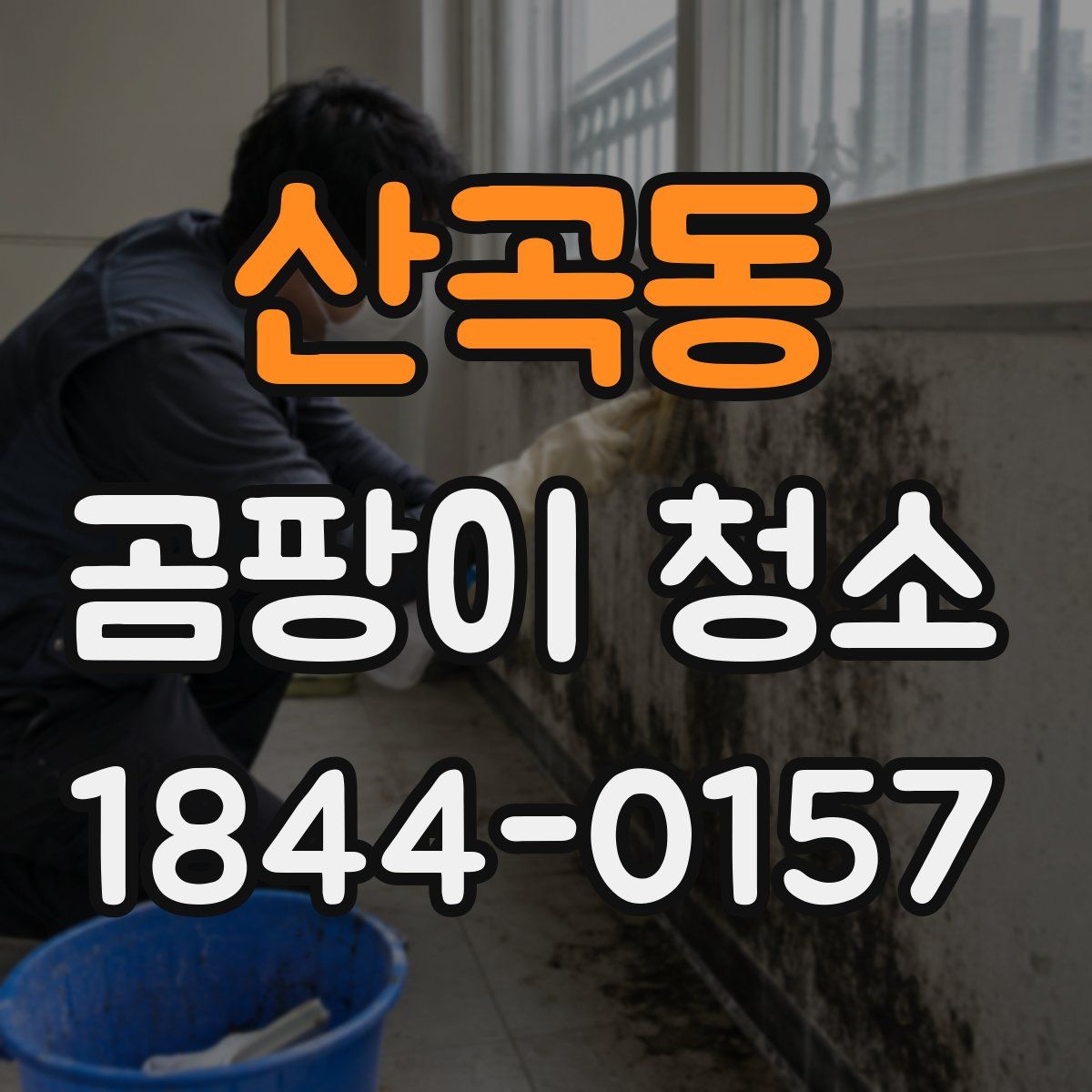 산곡동 곰팡이 청소