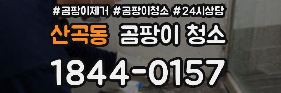 산곡동 곰팡이 청소