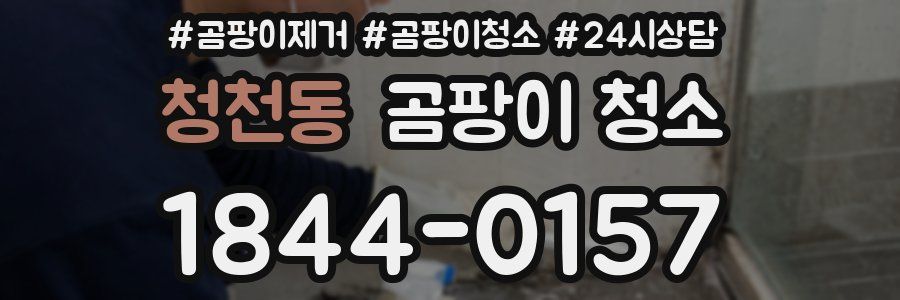 청천동 곰팡이 청소