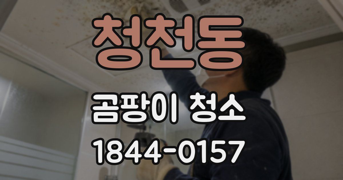 청천동 곰팡이 청소