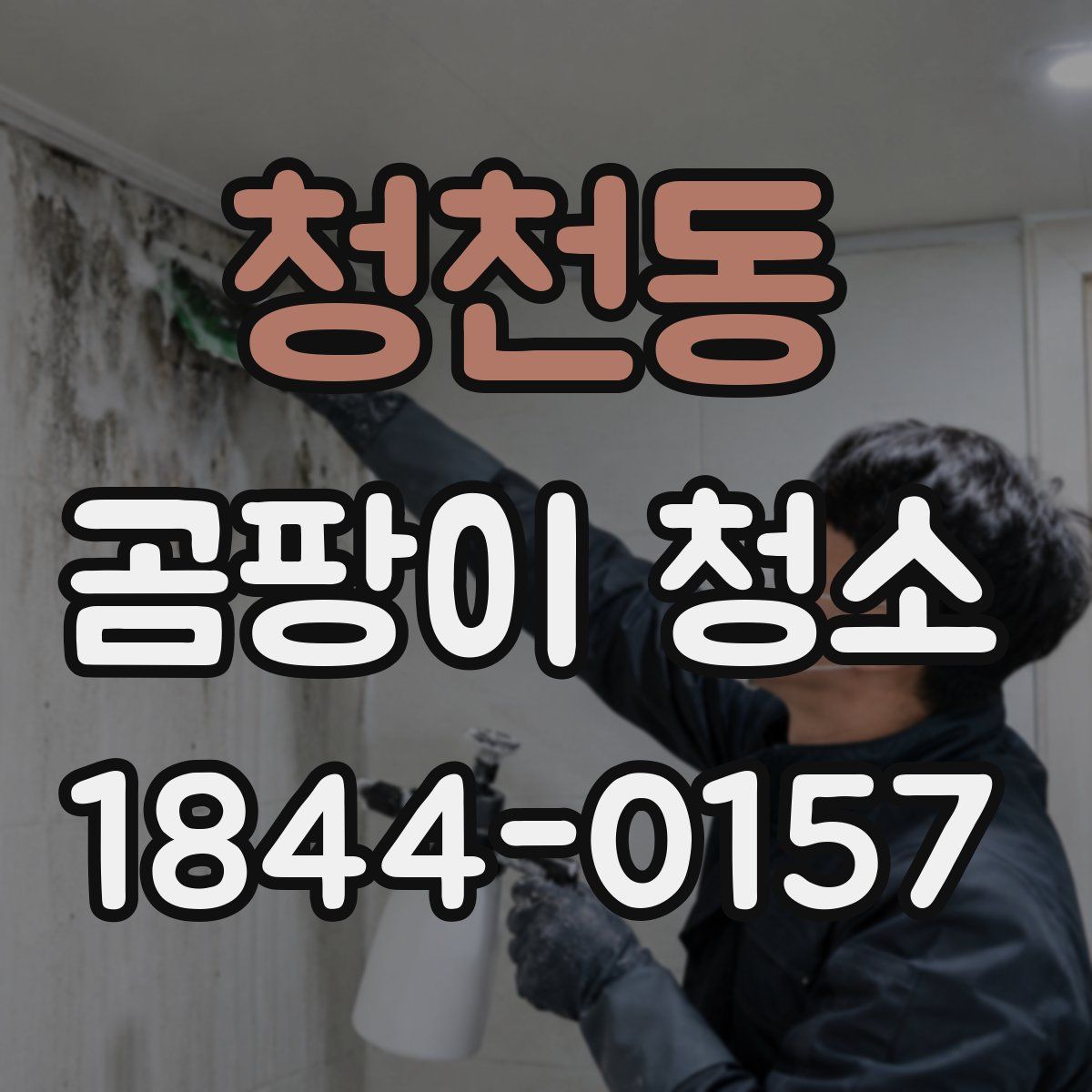 청천동 곰팡이 청소