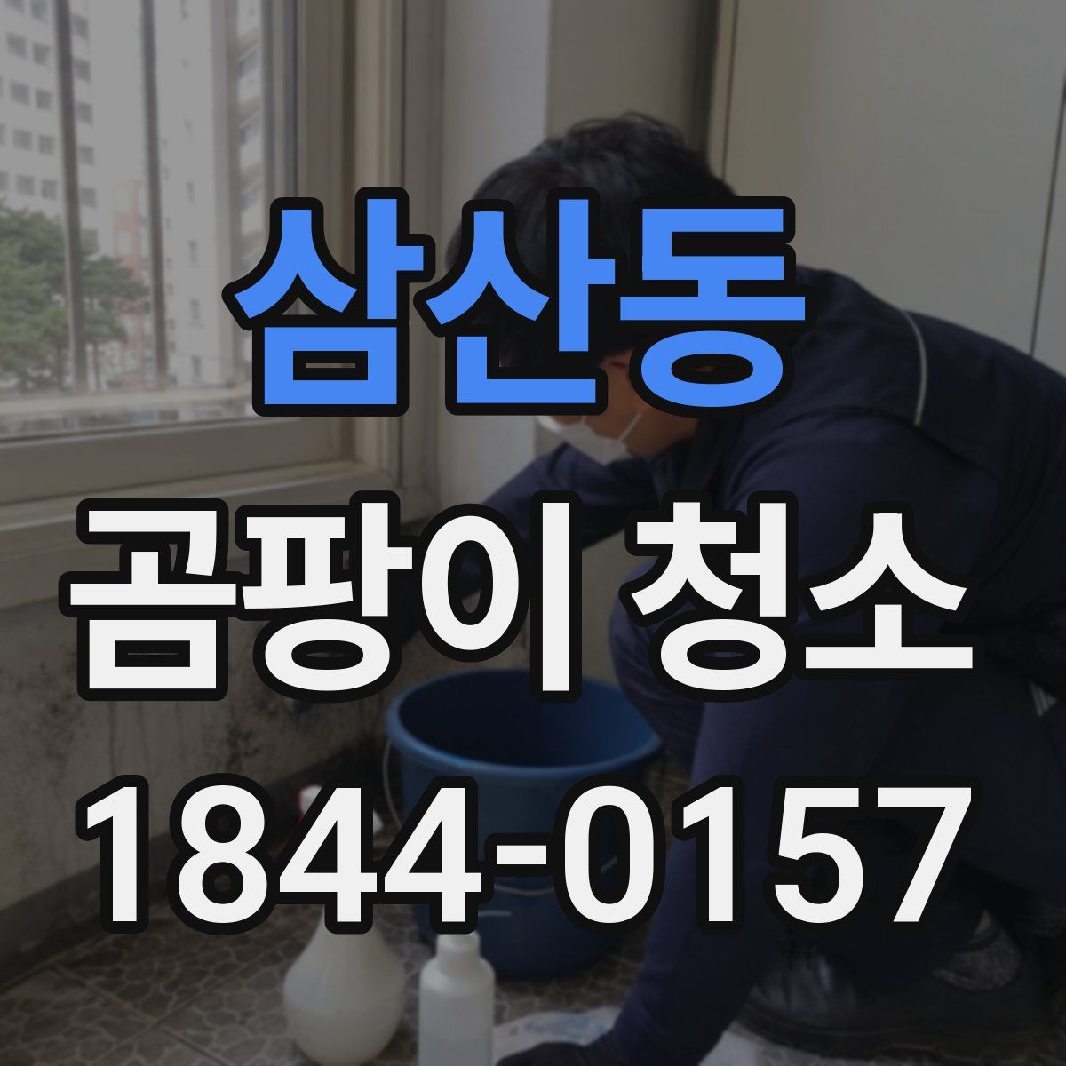 삼산동 곰팡이 청소