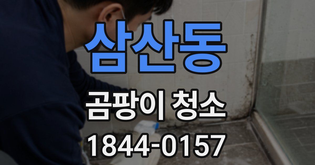 삼산동 곰팡이 청소