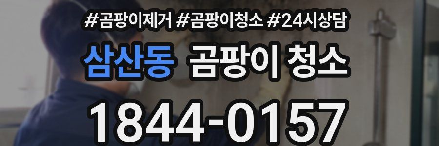 삼산동 곰팡이 청소