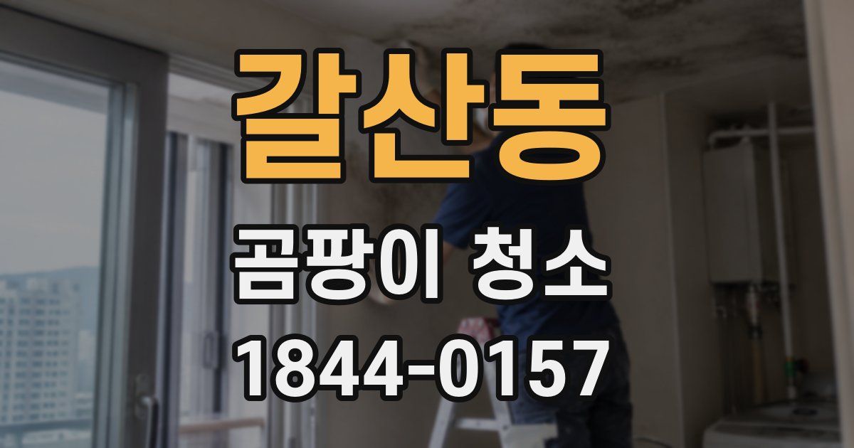 갈산동 곰팡이 청소