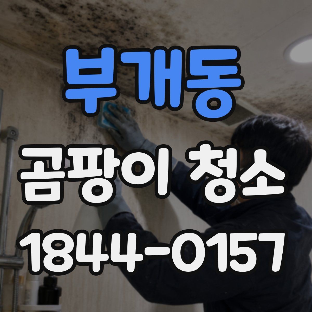 부개동 곰팡이 청소 주방 싱크대 주변 오염이 깊어질 때 확인할 점