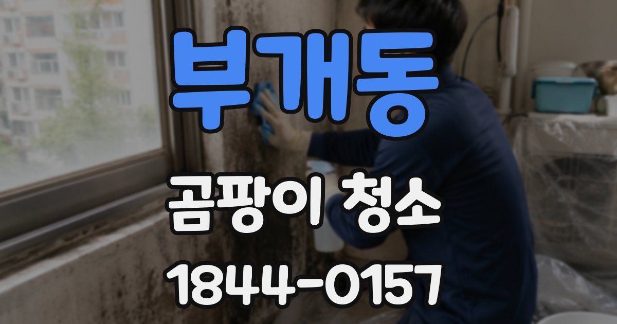 부개동 곰팡이 청소