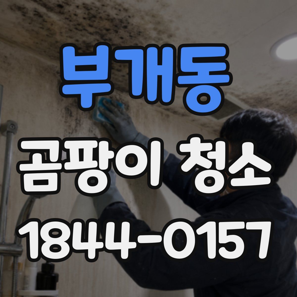 부개동 곰팡이 청소