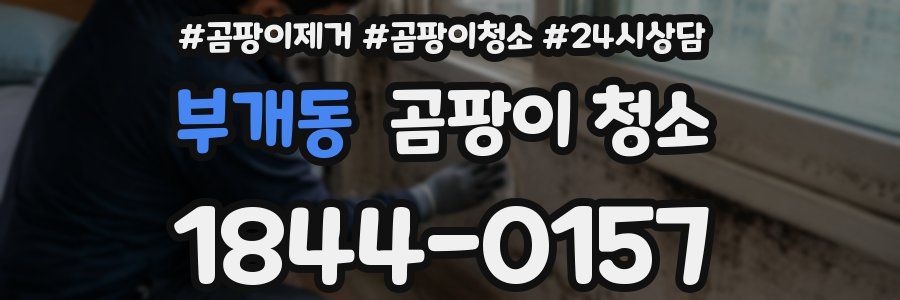 부개동 곰팡이 청소