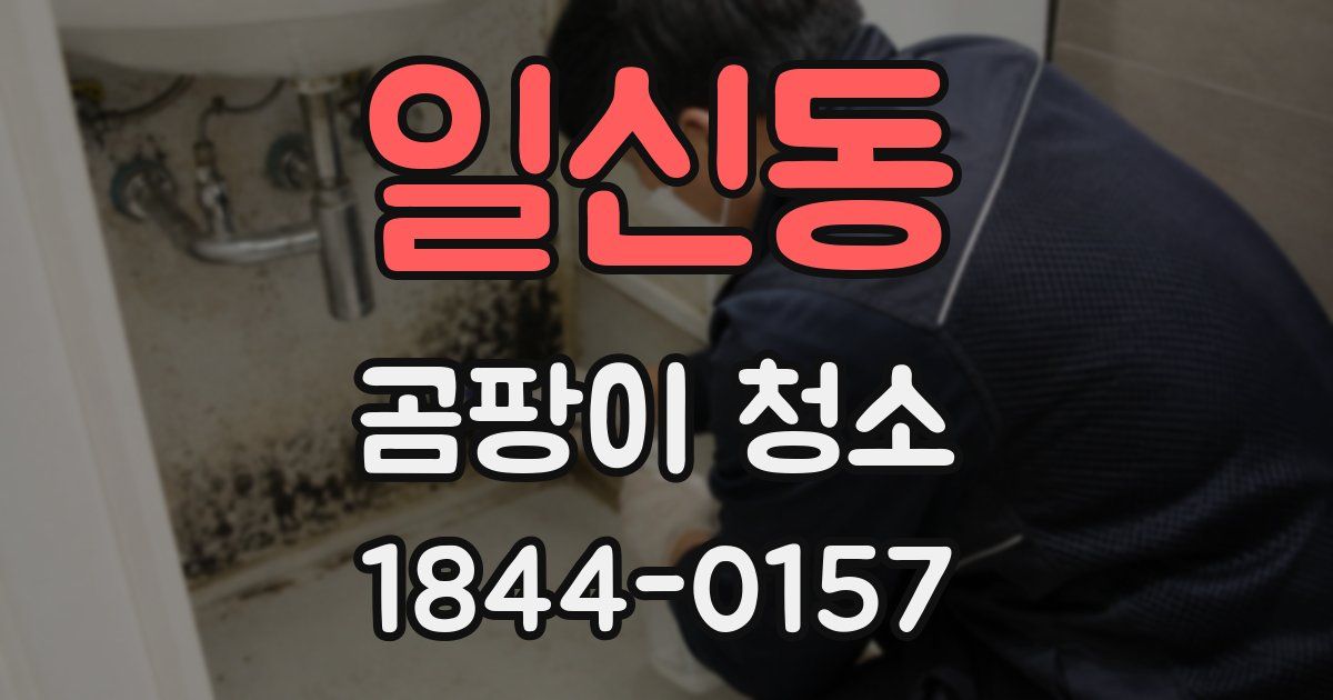 일신동 곰팡이 청소