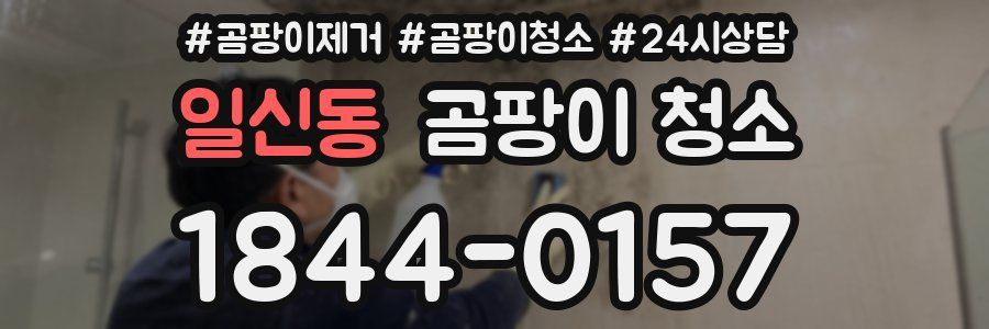 일신동 곰팡이 청소
