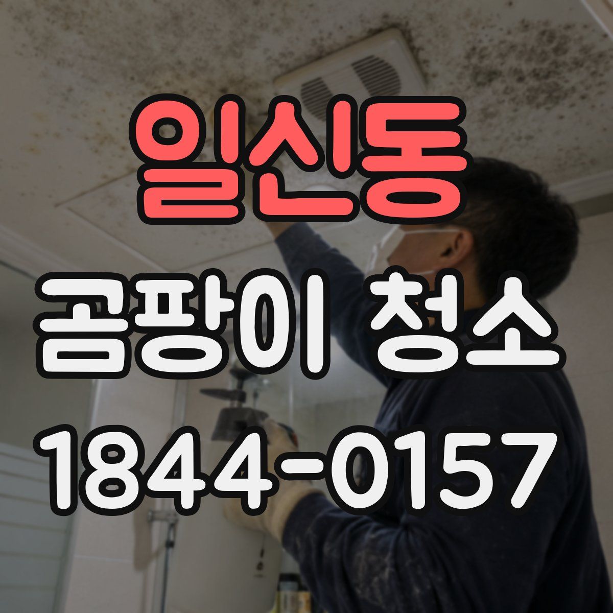 일신동 곰팡이 청소