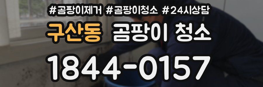 구산동 곰팡이 청소