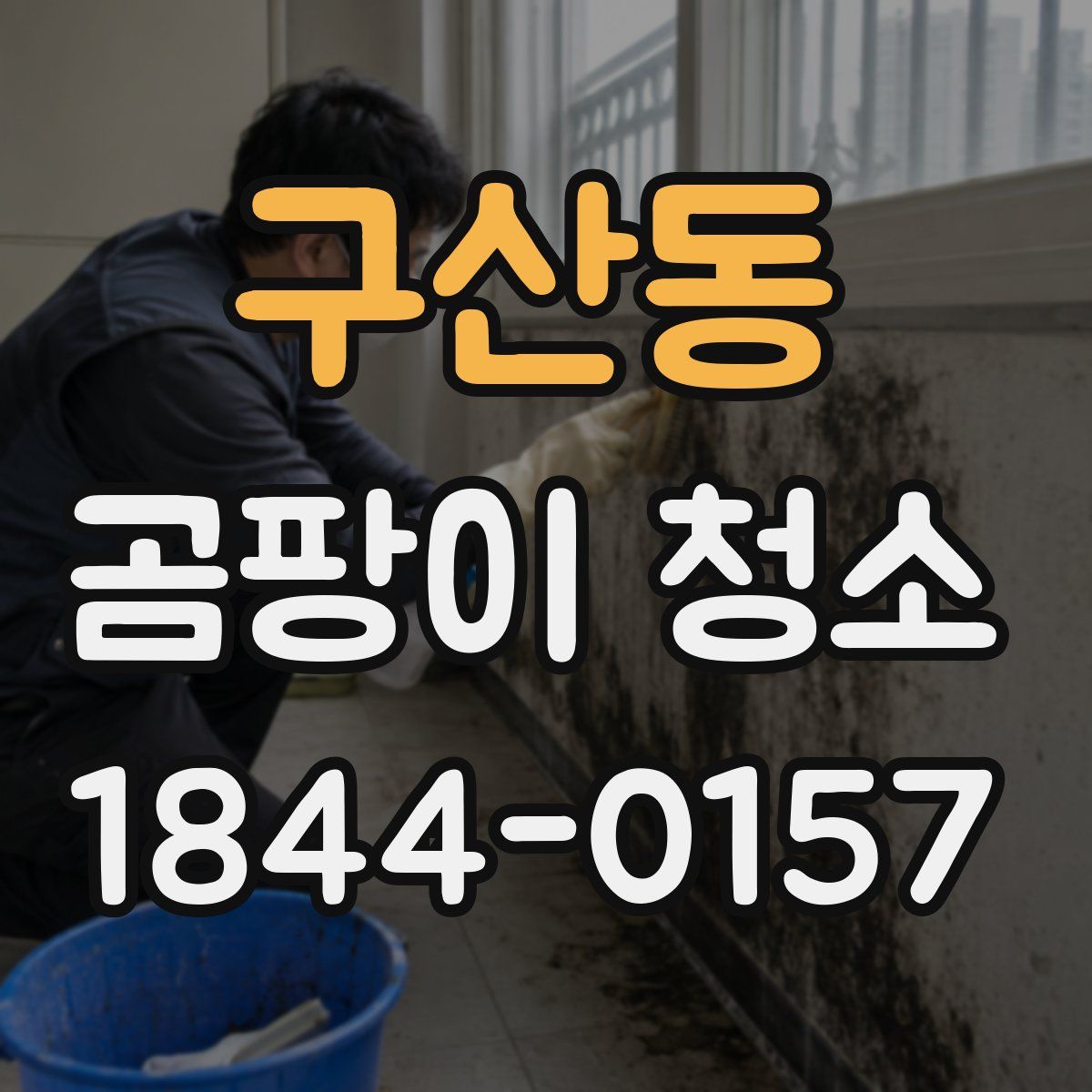 구산동 곰팡이 청소