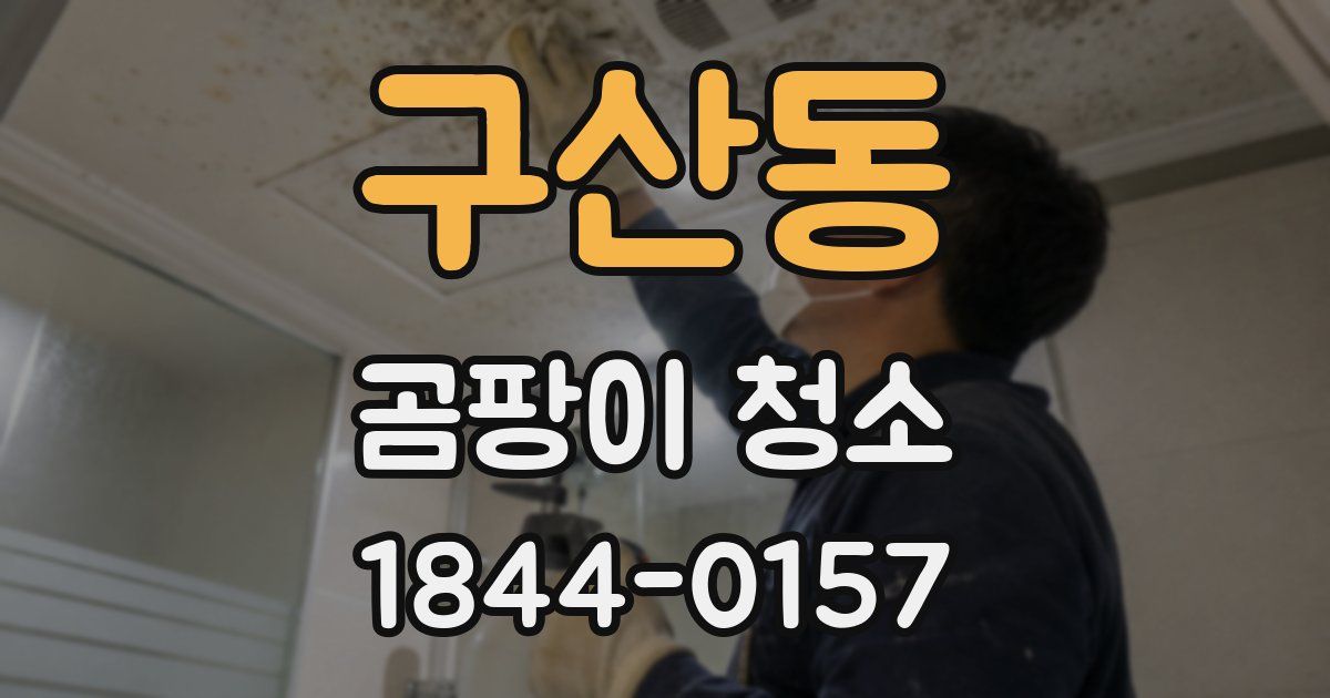 구산동 곰팡이 청소