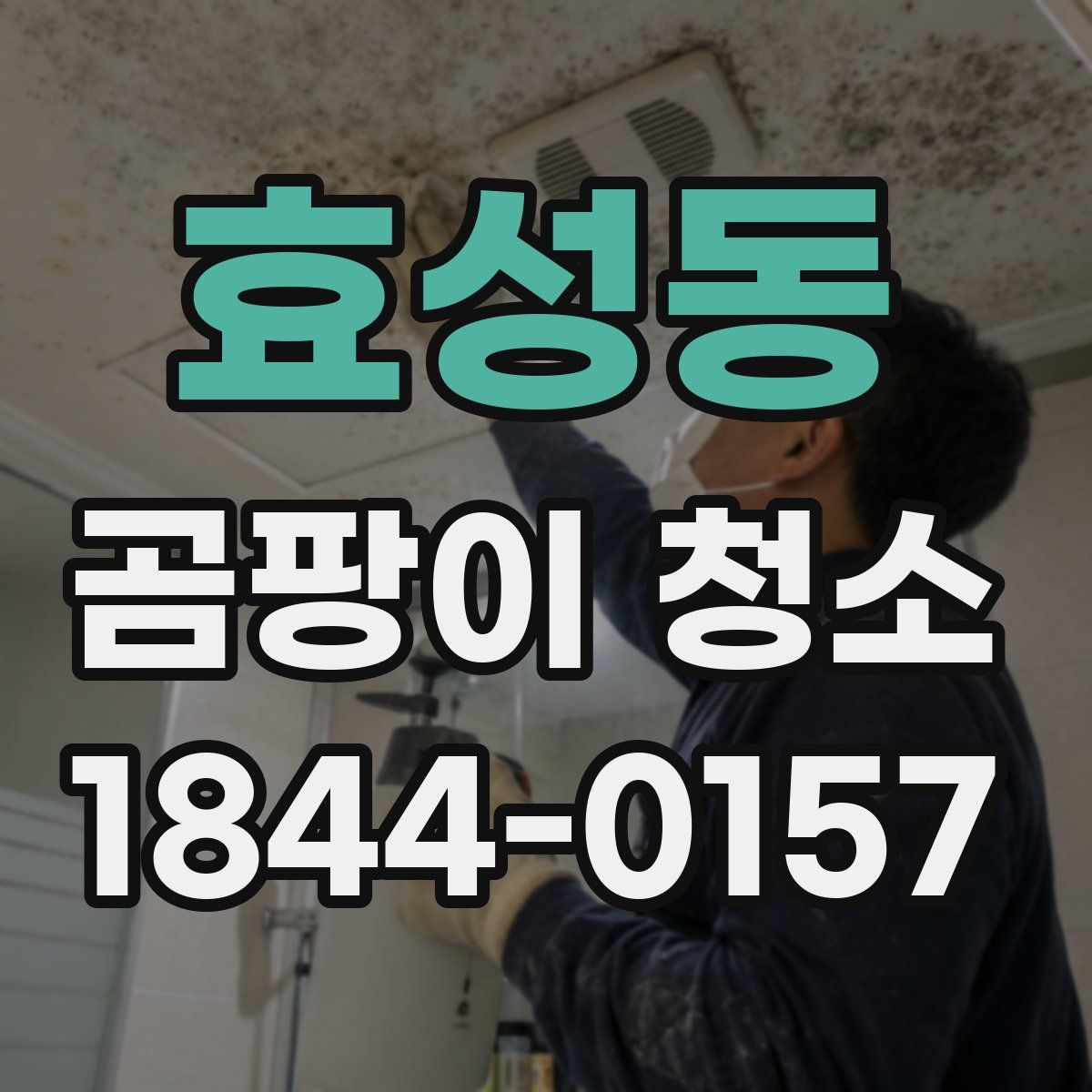 효성동 곰팡이 청소