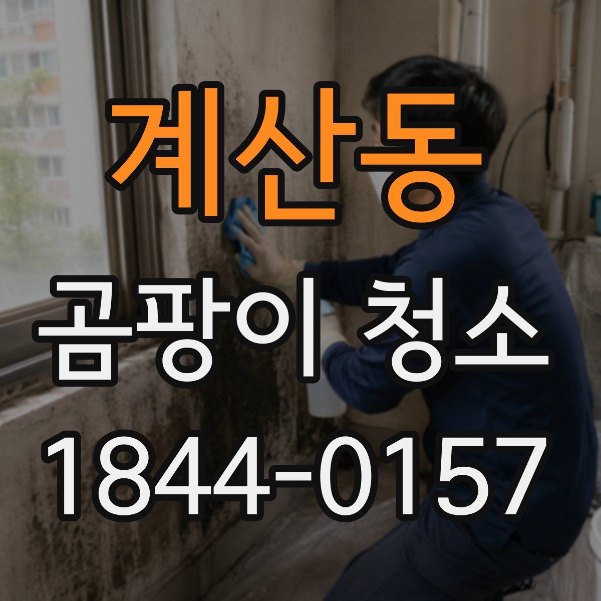계산동 곰팡이 청소