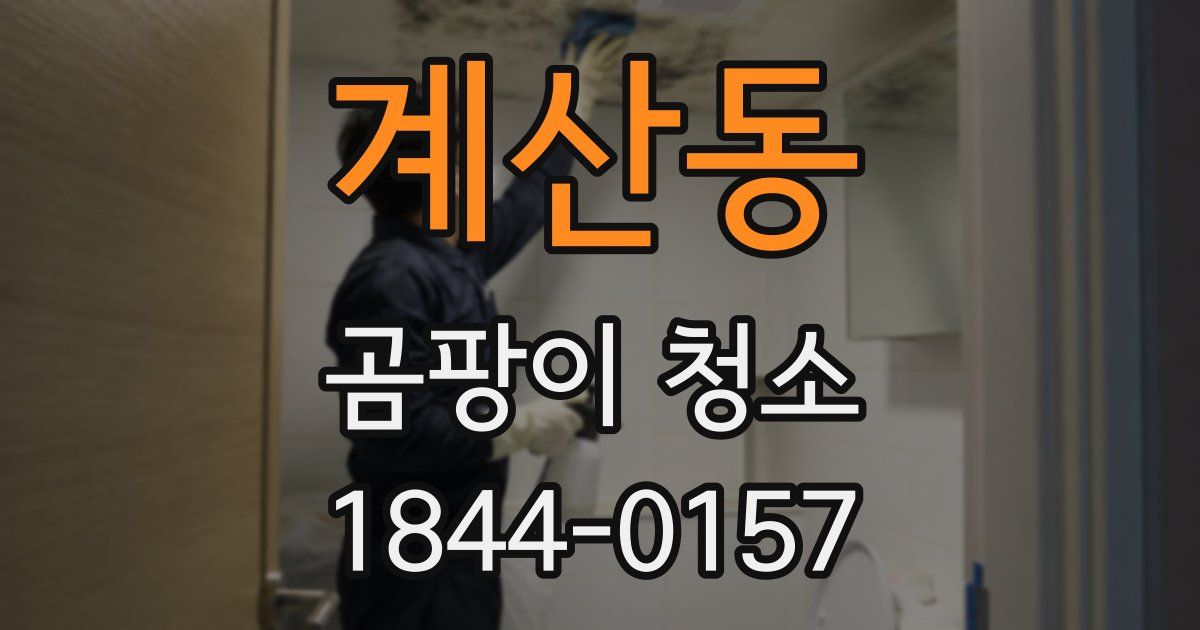 계산동 곰팡이 청소