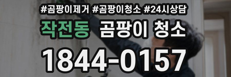 작전동 곰팡이 청소