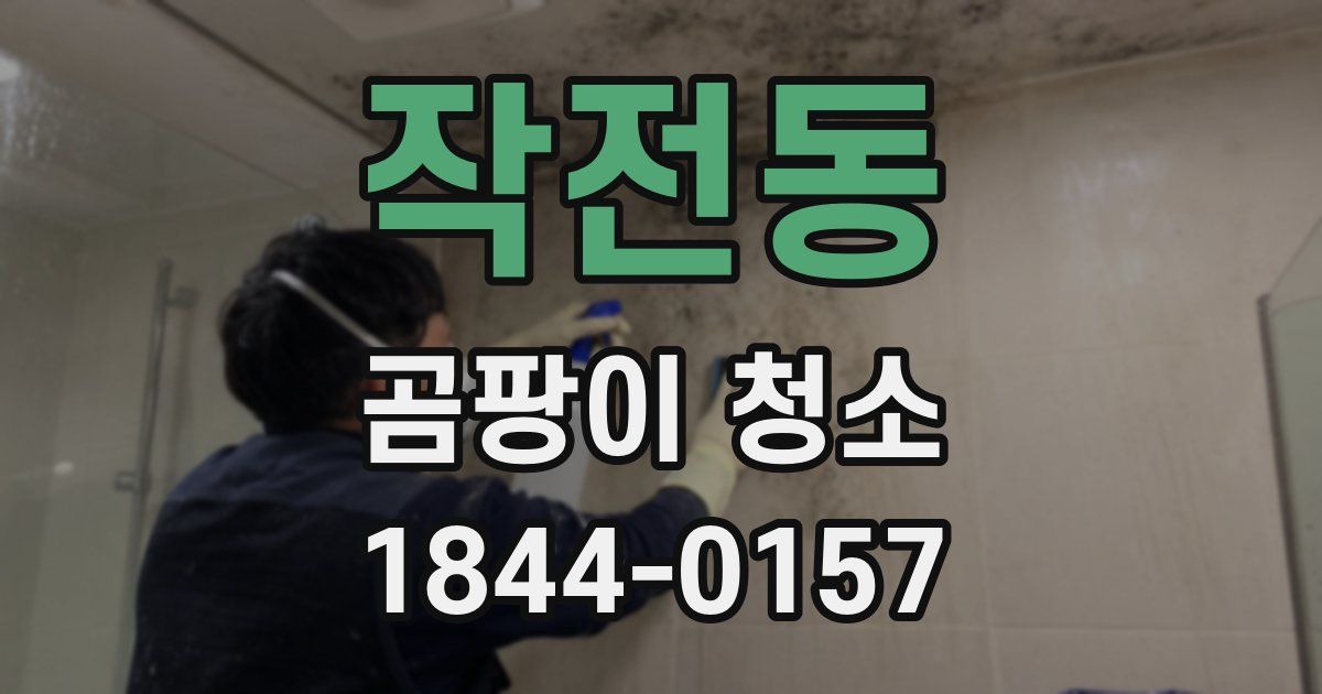 작전동 곰팡이 청소