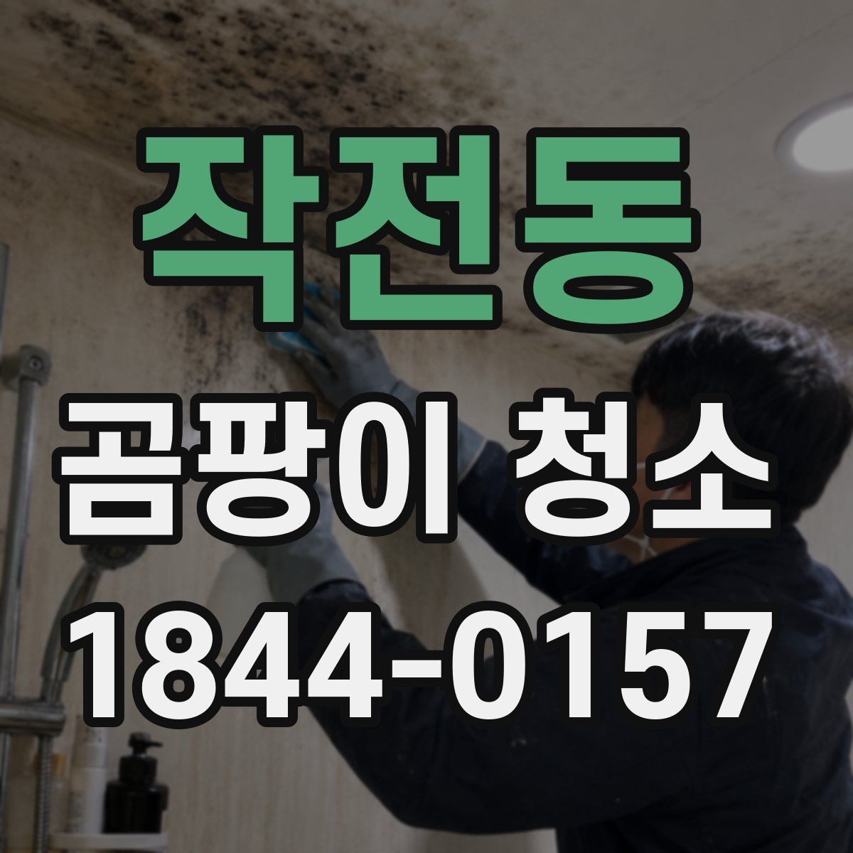 작전동 곰팡이 청소