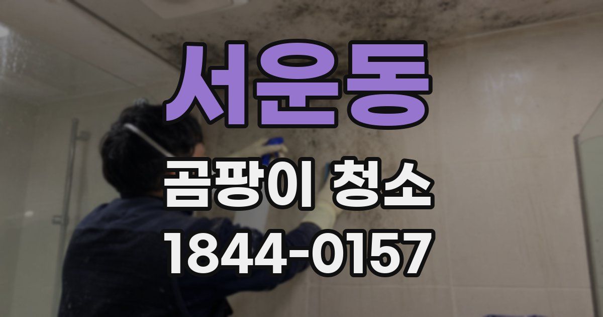 서운동 곰팡이 청소