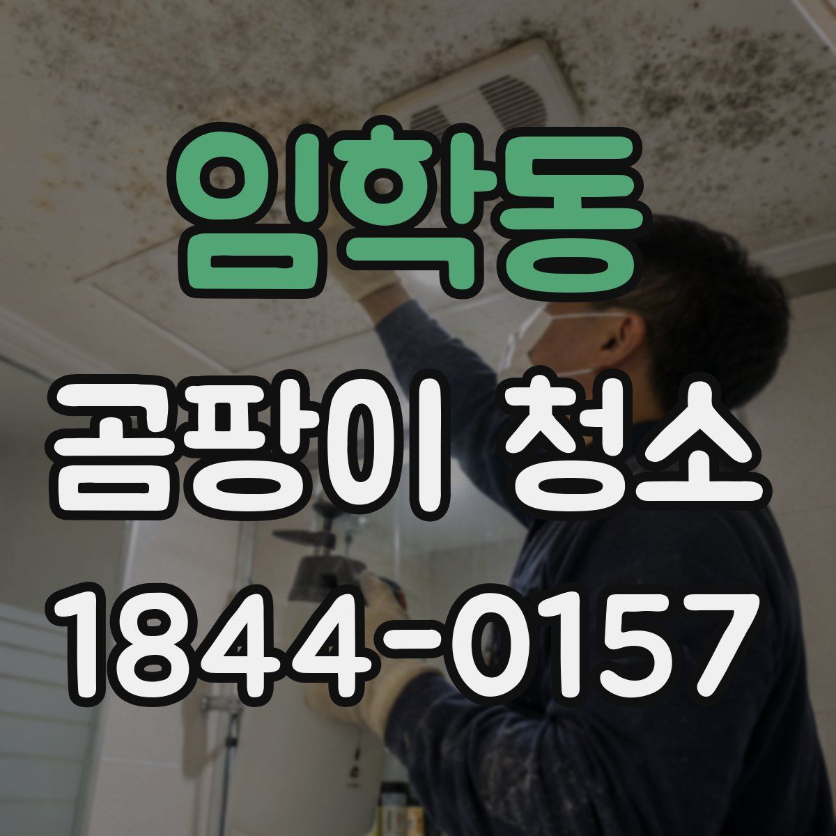 임학동 곰팡이 청소