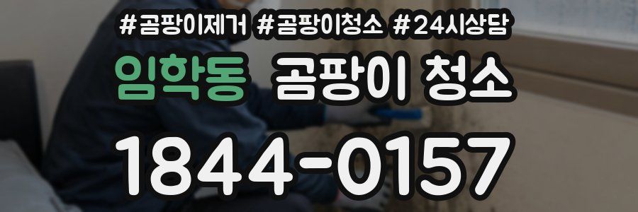 임학동 곰팡이 청소