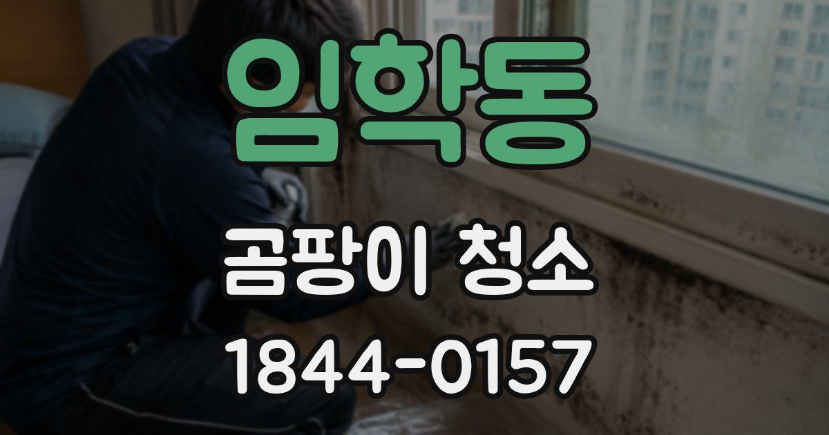 임학동 곰팡이 청소