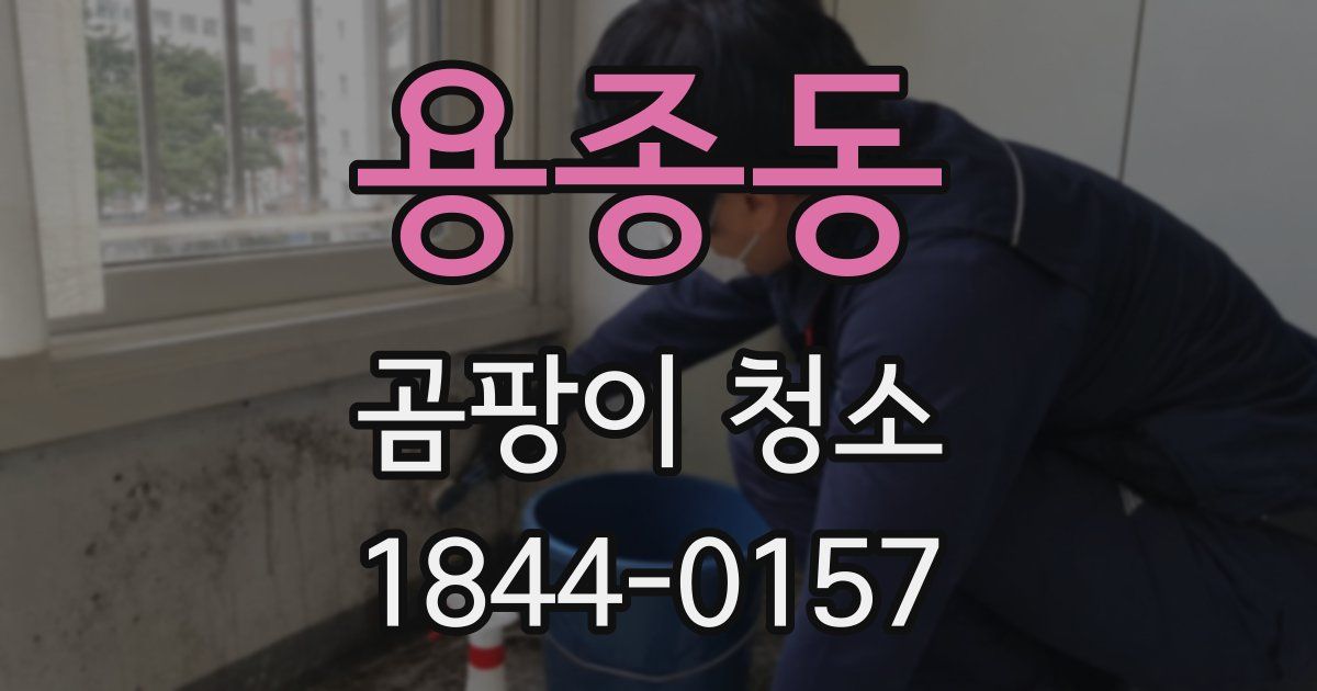 용종동 곰팡이 청소