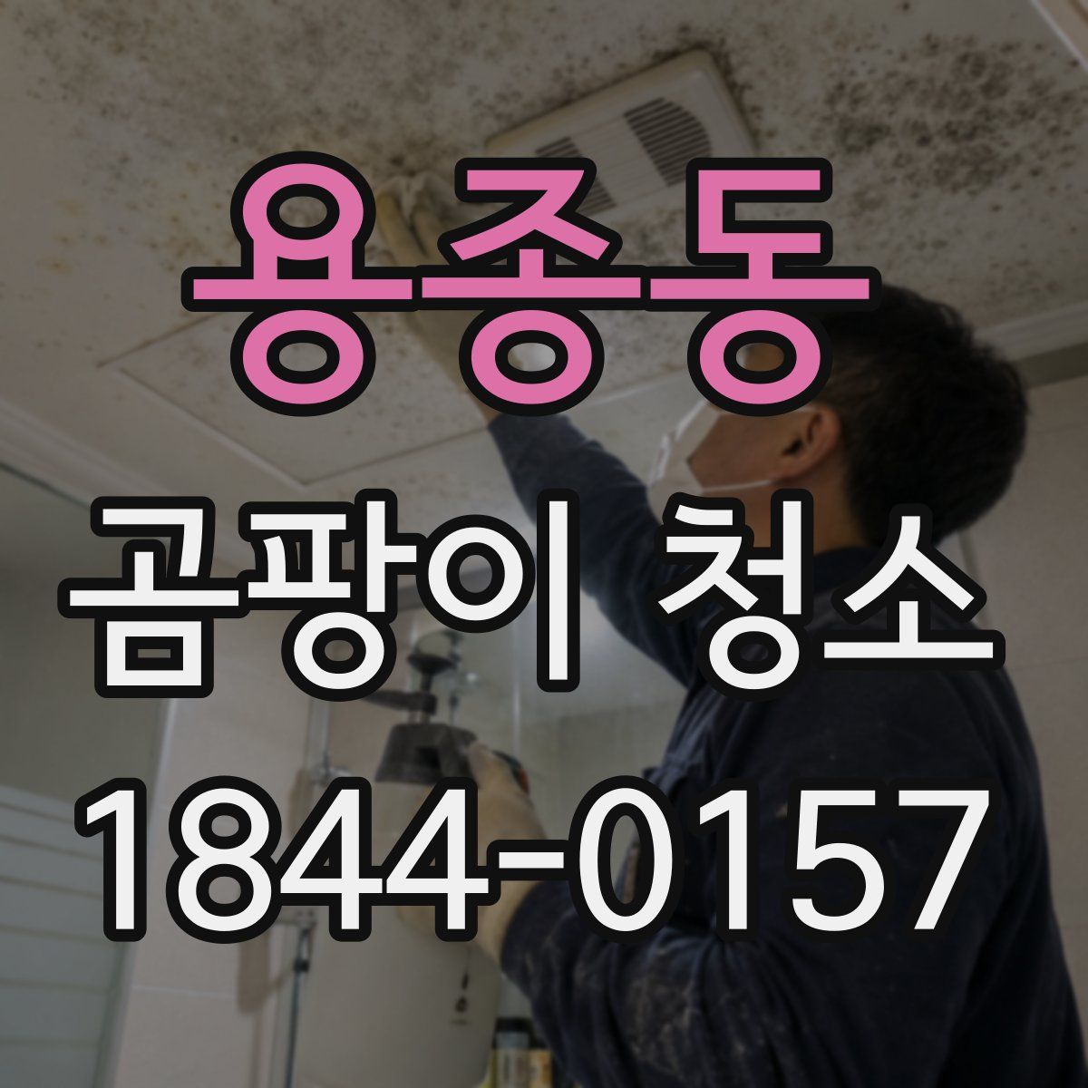용종동 곰팡이 청소