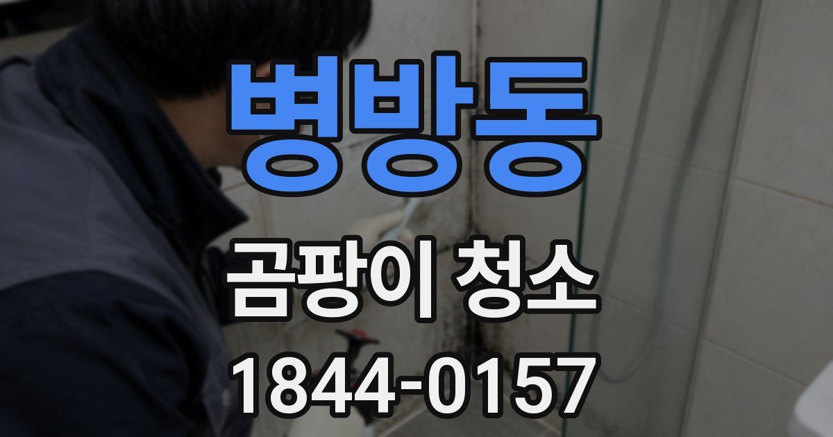 병방동 곰팡이 청소